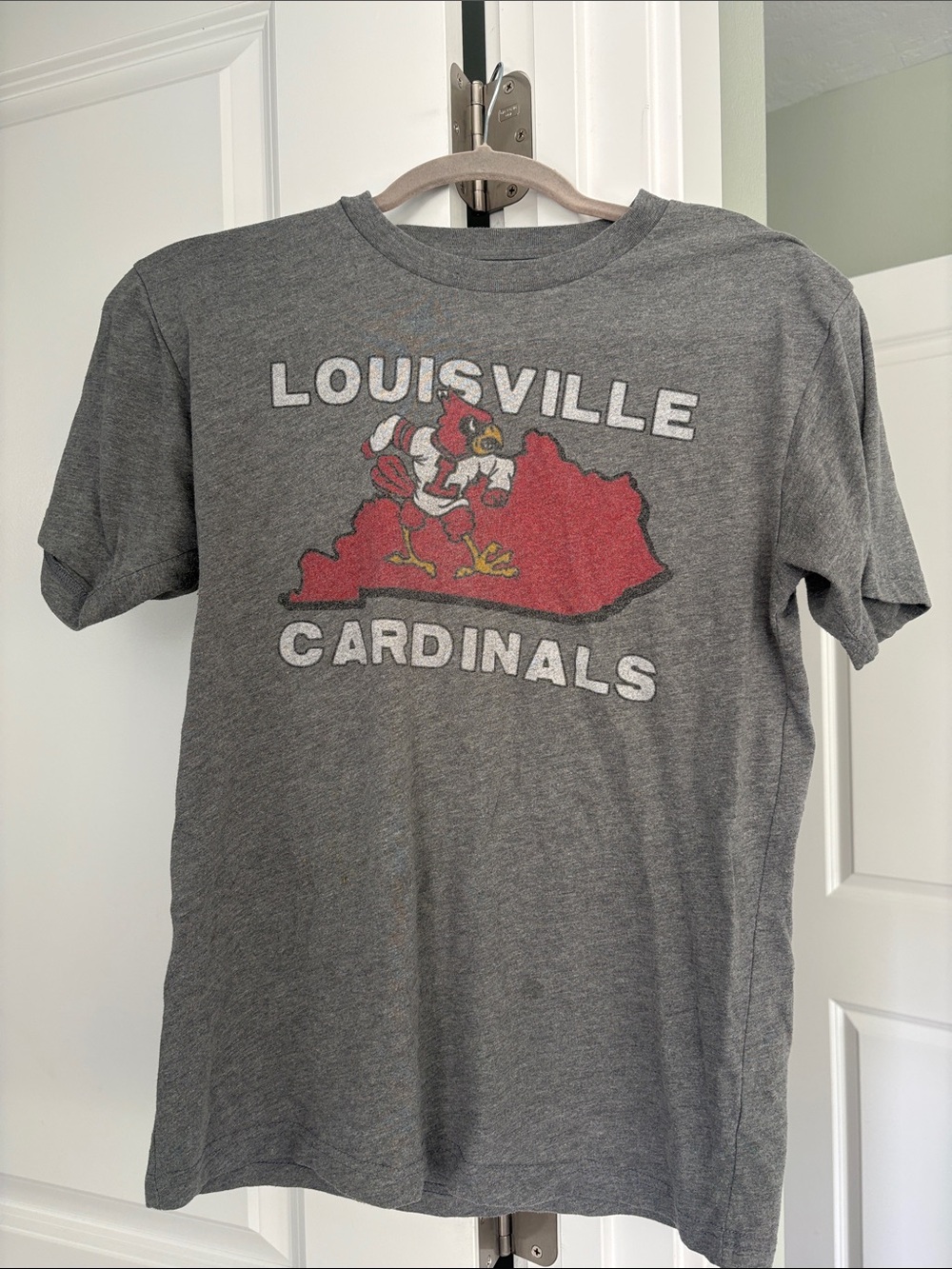 Louisville Cardinals Gray Graphic T‑Shirt